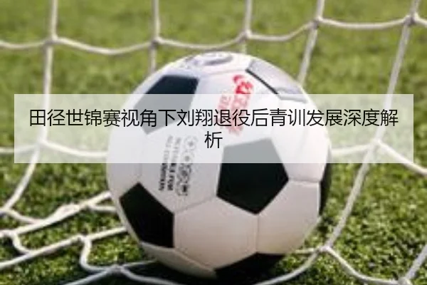 田径世锦赛视角下刘翔退役后青训发展深度解析